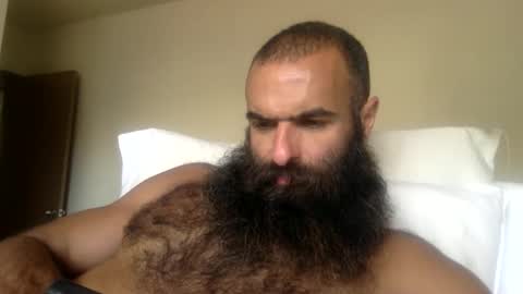 woof_wolf37 online show from April 17, 11:29 pm