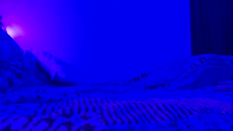 wowsers7 online show from November 7, 7:45 am