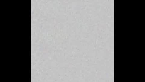 JSSD online show from December 3, 8:20 am