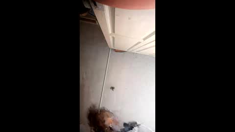 xlwi77 online show from May 31, 10:22 pm