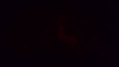 xPalidin online show from March 2, 4:29 am