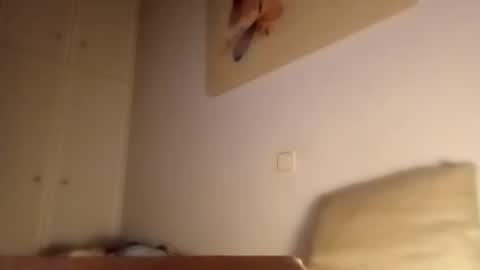 xxxdarknagician81 online show from October 5, 11:53 pm