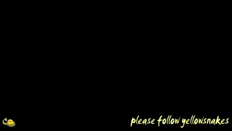 .     y e l l o w s n a k e s       . online show from January 13, 10:25 pm