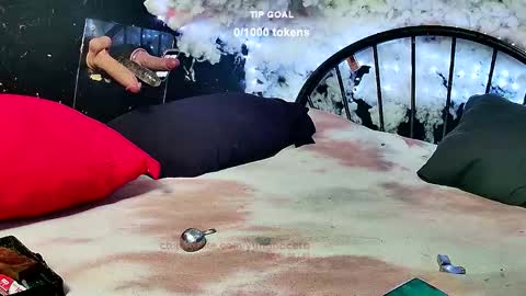 Octavian online show from February 10, 10:42 am