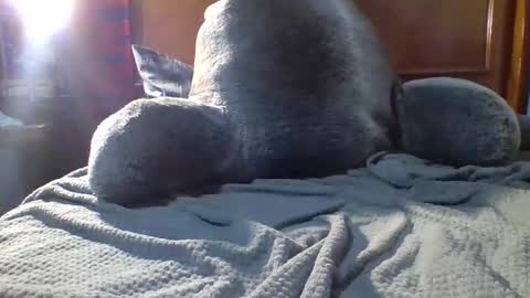 Fire 0range kush online show from December 19, 10:28 pm