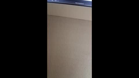 zchasebluesky22 online show from May 19, 8:31 am
