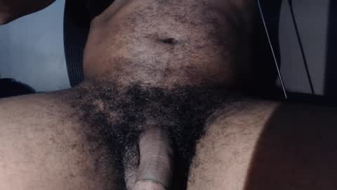 zelvaria online show from December 19, 11:07 am