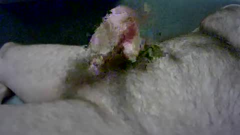 zepincam online show from January 3, 4:37 pm