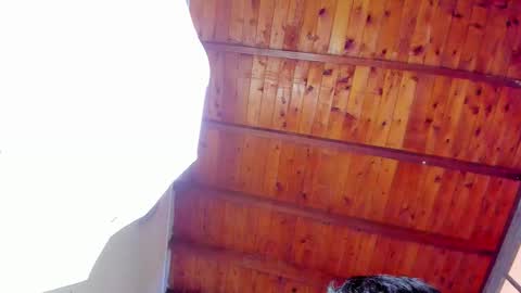 Zeus Brant online show from December 22, 1:19 pm