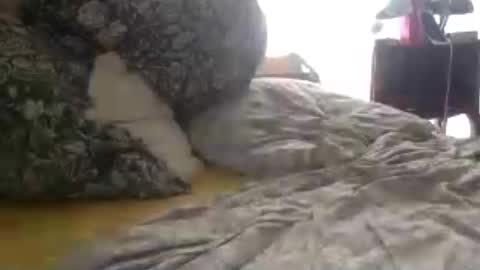 zulilizu online show from June 27, 12:19 pm