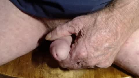 ZZ online show from November 22, 12:16 pm