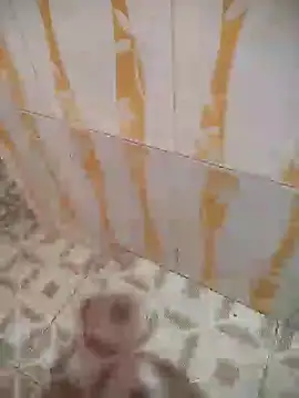 Sanjaymartin29 online show from January 15, 2:49 am