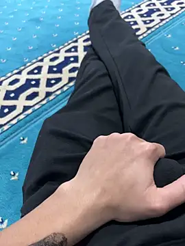 Aden P2 online show from November 27, 10:46 pm