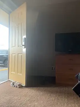 Stressreliever82 online show from April 2, 11:45 pm