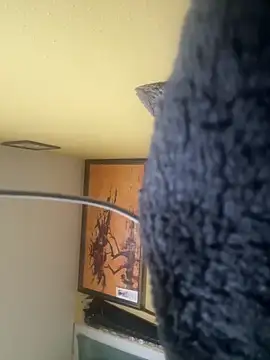 111pervertido online show from February 23, 9:11 am