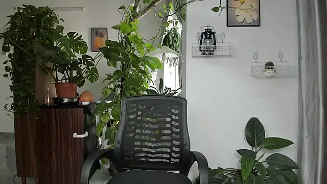 Oliver Nl online show from November 21, 6:01 am