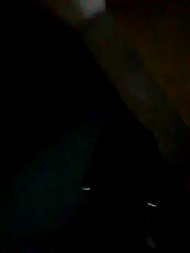 Snapshot of fieltoprj1 chatting on September 10, 12:31 am fieltoprj1 online show from September 10, 12:31 am