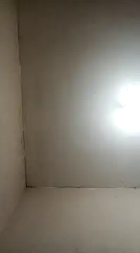 Snapshot of fieltoprj1 chatting on January 5, 8:11 am fieltoprj1 online show from January 5, 8:11 am