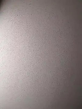 Dogz n daugthers online show from December 17, 7:48 pm