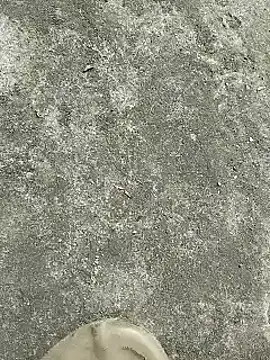 rana cute online show from December 22, 7:22 am