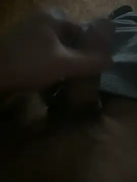 nekdozvysocinyxh online show from November 13, 2:49 am