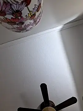 Zander823 online show from February 3, 11:10 pm