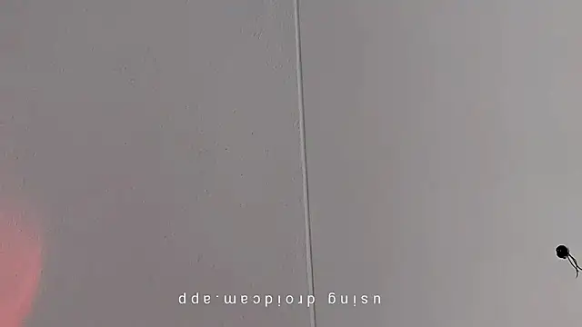 Pegg-fist-me online show from March 10, 8:53 am