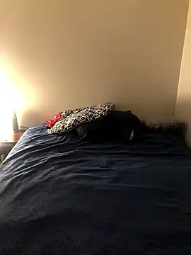 Flickmeatwood online show from January 13, 1:43 am