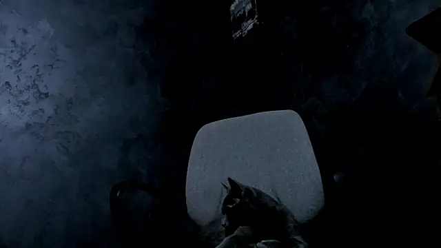 Master Mark Wayne online show from February 23, 9:49 pm