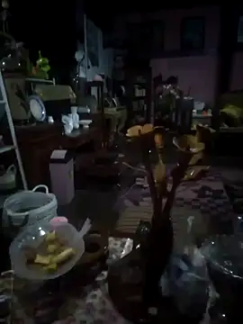 Dodoldolly online show from November 5, 3:14 pm