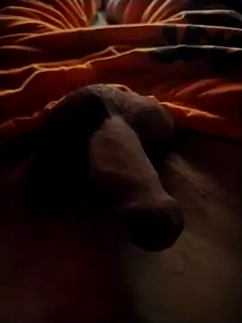 Snapshot of Luiz_097 chatting on September 13, 6:47 am Luiz 097 online show from September 13, 6:47 am