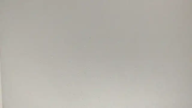 fukurbutt online show from February 3, 7:08 pm