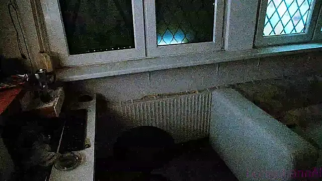 BongChannel online show from December 4, 2:04 pm