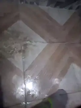 putosafado669 online show from December 22, 1:19 pm