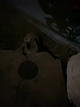 Snapshot of nowex18 chatting on March 6, 6:52 am nowex18 online show from March 6, 6:52 am