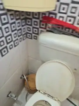 Loveboycurvy online show from April 2, 4:43 am