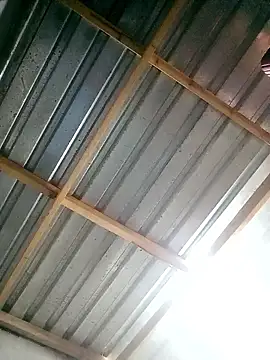 199Gif online show from January 9, 5:13 am