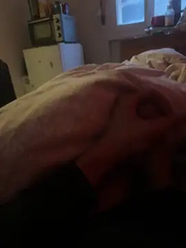 orient zob online show from February 16, 6:55 am