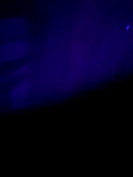 nehacplsex online show from January 25, 6:57 pm