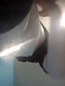 Leonul online show from November 5, 10:06 am