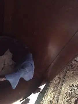 TangoingSorbet online show from November 2, 10:19 am