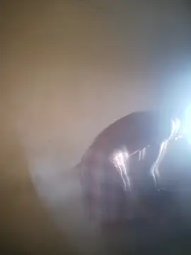 MkingPin online show from April 1, 5:31 am