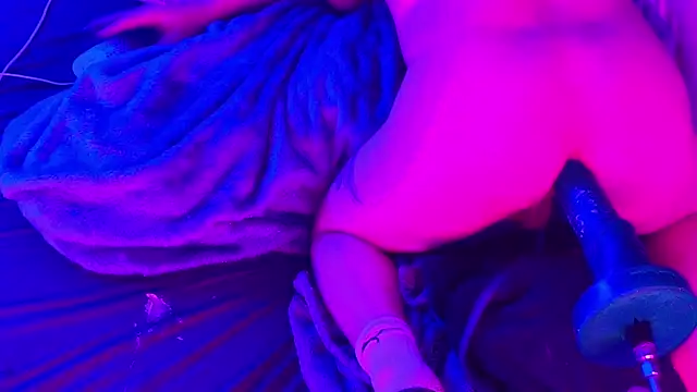 BJSchlect online show from March 2, 10:00 am