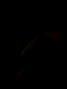 Danilo 2017 online show from September 22, 8:52 pm