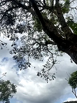 Snapshot of FlpGmz chatting on October 19, 8:34 pm FlpGmz online show from October 19, 8:34 pm