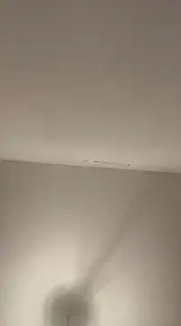 petan33 online show from December 18, 7:41 pm