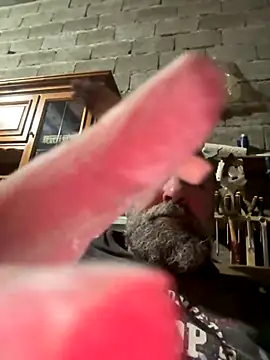 ros217 online show from November 25, 4:20 pm