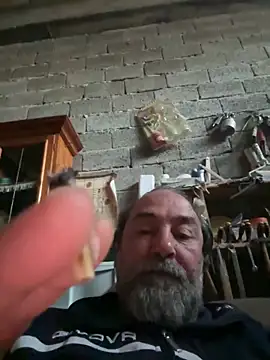 ros217 online show from April 23, 5:04 pm