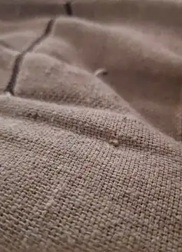 iaparna online show from December 9, 5:07 am