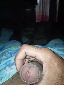 taylorWiiz online show from February 15, 2:14 pm